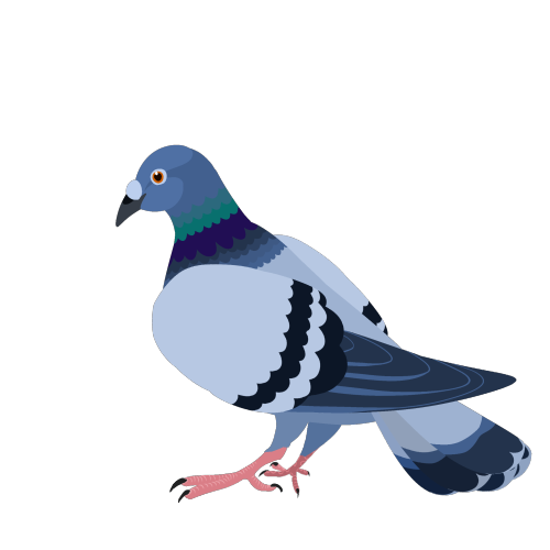 A Pigeon I Drew (feel Free To Use As A Discord Emoji With Cred. That's Why I Made It), A Vaporwave Princess