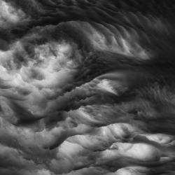 cerceos:  Noah Weiner Summer Storm Clouds