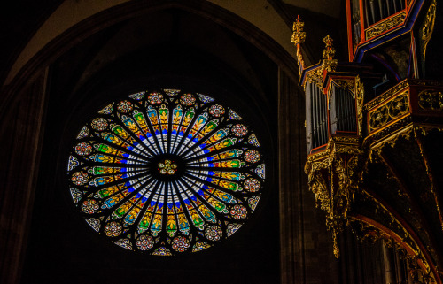 travelingcolors:Strasbourg Cathedral | France (by Federica Gentile)