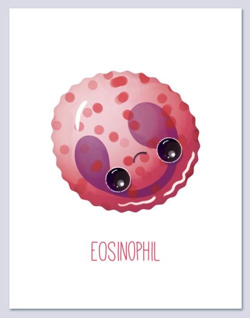 Cute Components of Blood