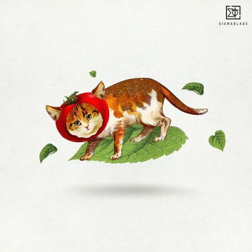 Tomato cat? Tomcatto? Leafcatto? Uh. #art #collagestash #collageartwork #art_spotlight #collageoft