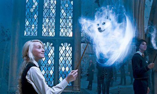 hpfansblog:  wow such patronus