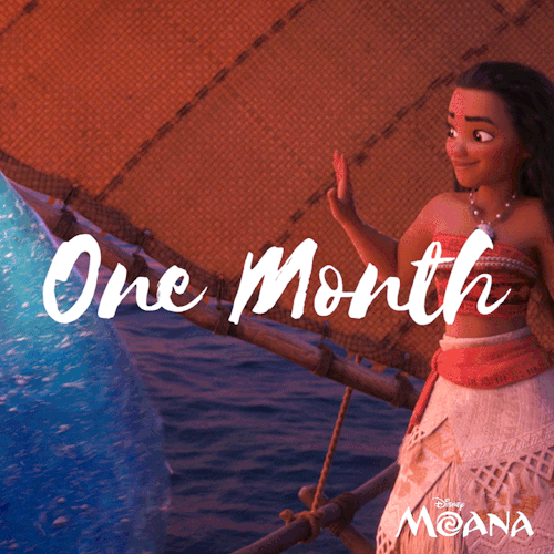 Reblog this post if you’re excited for #Moana to sail into theatres in ONE MONTH!