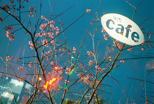 Cafe at Night vs Cherry Blossoms on Flickr.
Via Flickr:
• Camera: Nikon FM
• Film: Kodak Ektar 100
• Blog | Tumblr