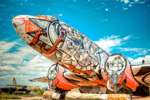 fer1972:  The Boneyard Project