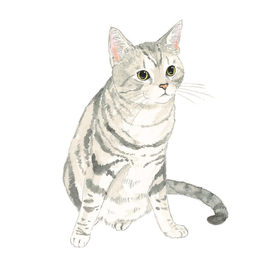 Takako Ide Illustration Takako Ide Illustration