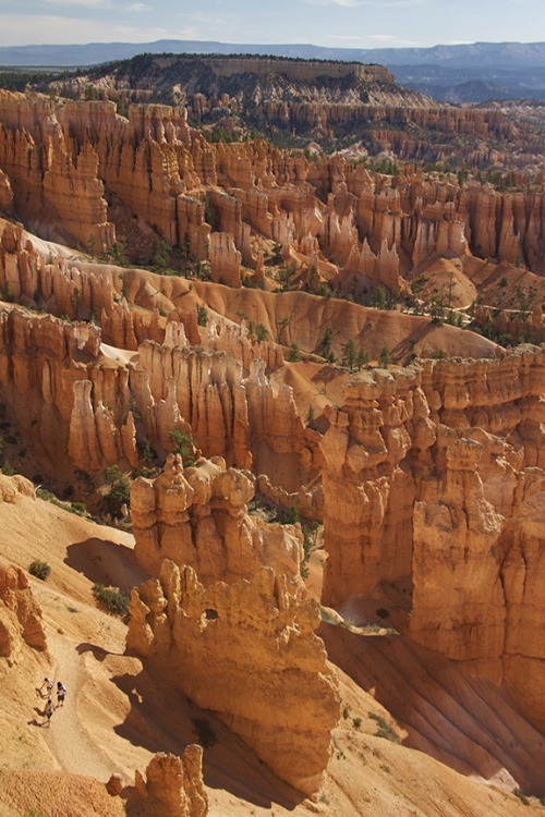 Hoping to get back to these hoodoos again next week…Bryce Canyon National Park, UT.