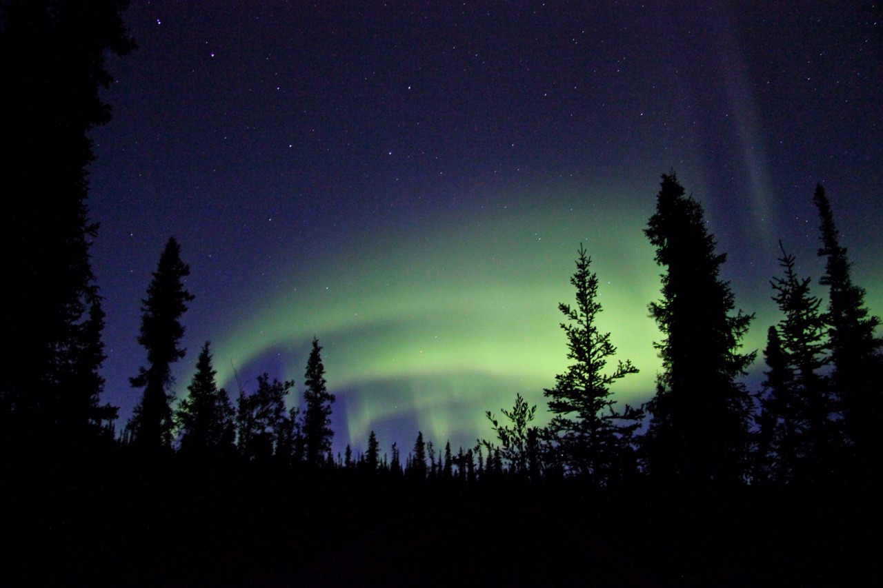 mypubliclands:  We’re bringing in the new year with beautiful skies over your public