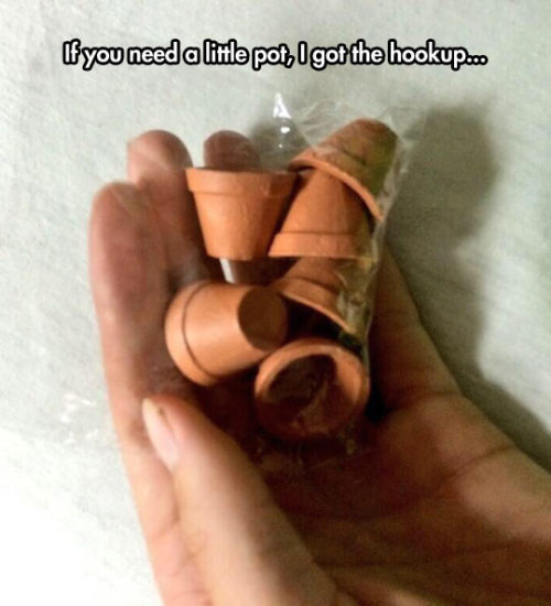 srsfunny:  If You Need A Little Pothttp://srsfunny.tumblr.com/