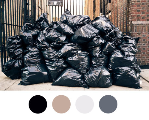 buzzfeed:  13 Beautiful Color Palettes Inspired By NYC Garbage