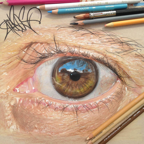 peppomint: estebanvewi: Hyperrealistic Eyes Drawn with Colored Pencils WHAAAAAT