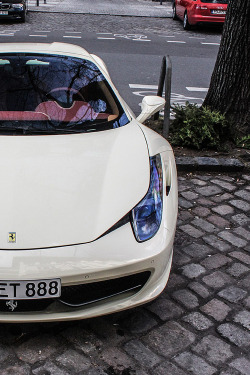 Atlasofvanity:  The Horse || Source || More