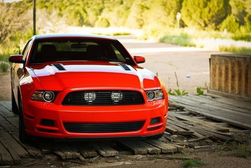 Ford Mustangs