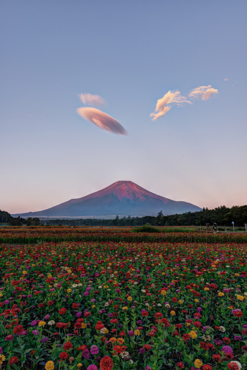 wonderous-world:Yamanakako Village, Japan by Yuga Kurita