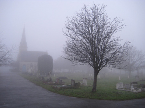 sonya-heaney:Queen’s Road Cemetery, Croydon, England.