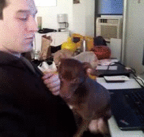 awwww-cute:  This is what my dog does while I’m coding
