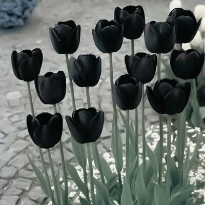Goth Flowers Appreciation Post