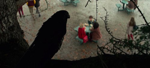 movie-struck: Chilling Adventures of Sabrina Part 1, Episode 1 “October Country” (2018)D