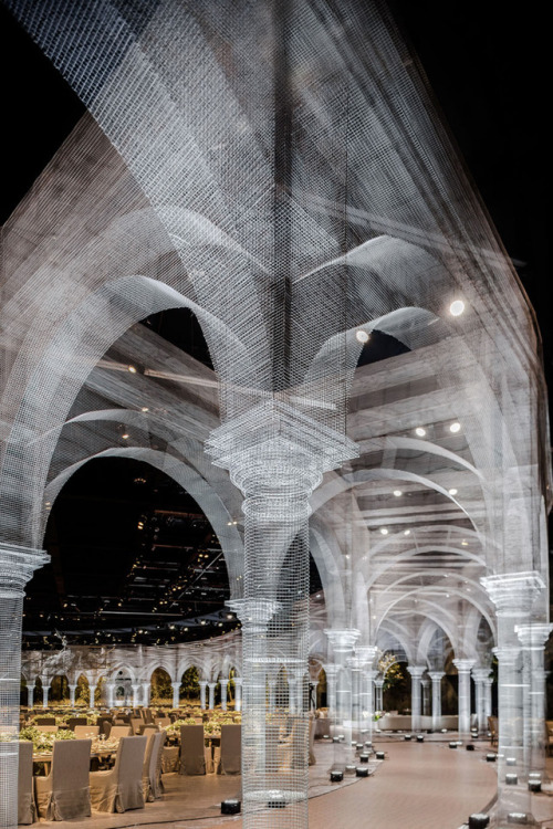 thedesigndome: Stunning Wire Mesh Sculptures by Edoardo Tresoldi Edoardo Tresoldi, an Italy-based ar