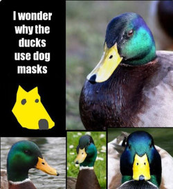 srsfunny:  You Will Never Look At Them The Same Way Againhttp://srsfunny.tumblr.com/