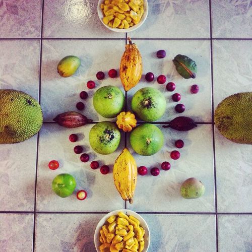 @welovel1fe and I had fun the other day foraging (: these are some of the goodies we found! #cairns 