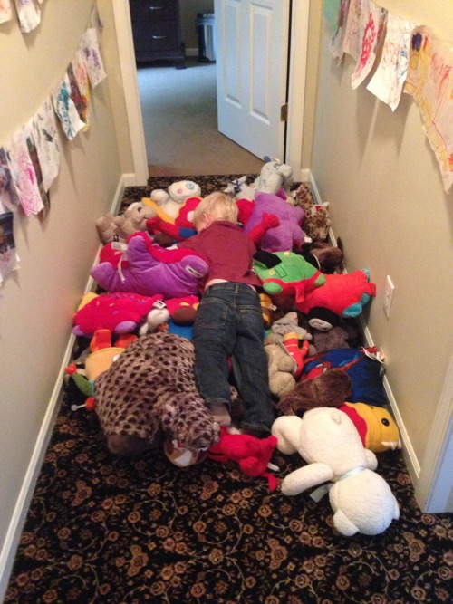 I told him we had too many stuffed animals and he immediately jumped into the pile to save them.