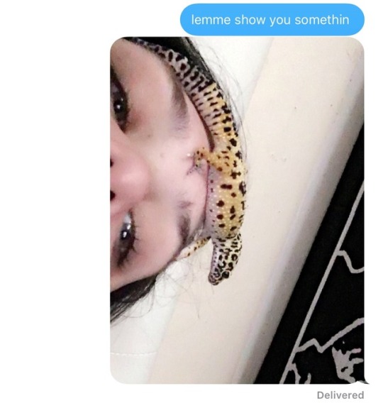 frawgs:  i keep sending my friends this pic of my lizard on my forehead 