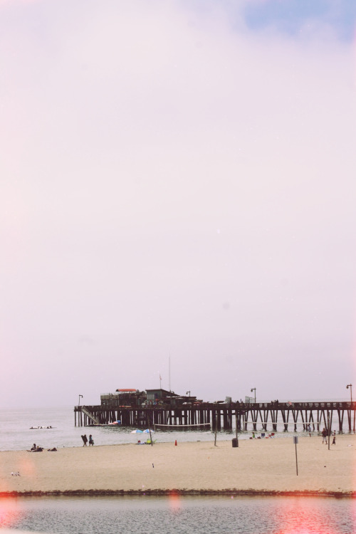 garden state of mind