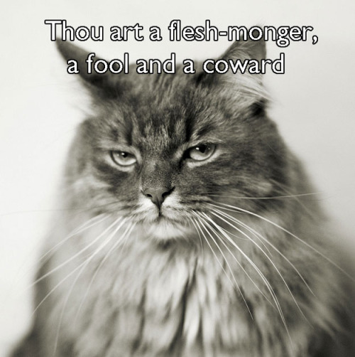kat-howard:dbvictoria:Shakespearean insults, with cats. 7 more here.I did not realize how very perfe