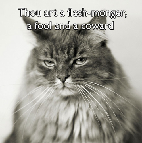 dbvictoria: Shakespearean insults, with cats. 7 more here.