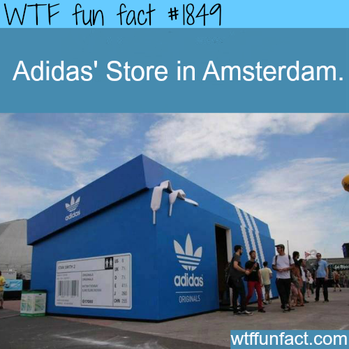 wtf-fun-factss:  Adidas Store in Amsterdam - WTF fun facts jk guys, It’s Shaq’s