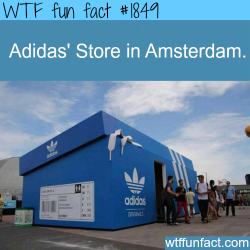 wtf-fun-factss:  Adidas Store in Amsterdam