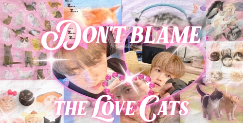 DONT BLAME THE LOVECATS M.LIST