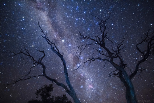 ikenbot: The Milky Way Band and Dark Skies PSA:“That has to be superimposed - they photoshoppe