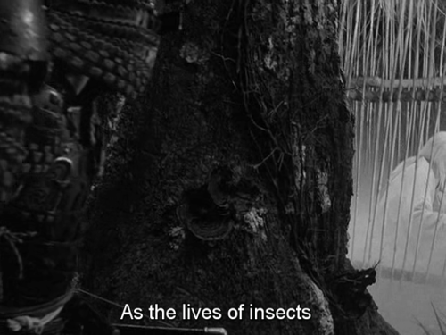 weltschmerzzz: Throne of Blood, 1957 - Akira Kurosawa
