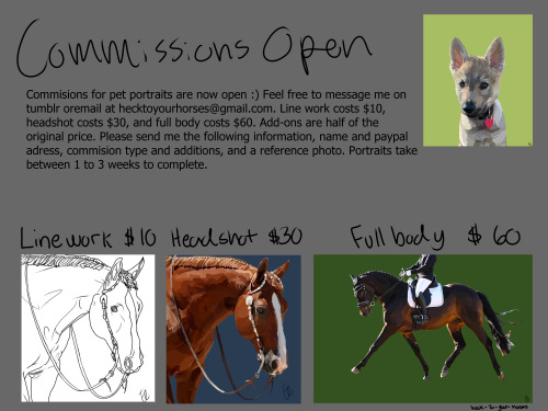 heck-to-your-horses: Supper exited to open up commisions. Message me if you want art of your pets an