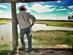 eldondino:  Just a couple of picture of the Campo, Rancho Grande, my Godparent’s ranch in Arroyos y Esteros, more to follow