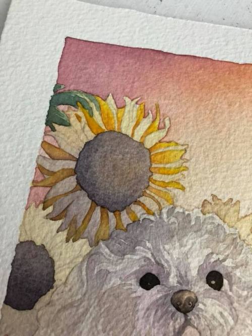 themajorbarkana: Watercolor flowers are one of my all time favorite things to paint.There’s so