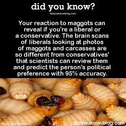 did-you-kno:  Your reaction to maggots can