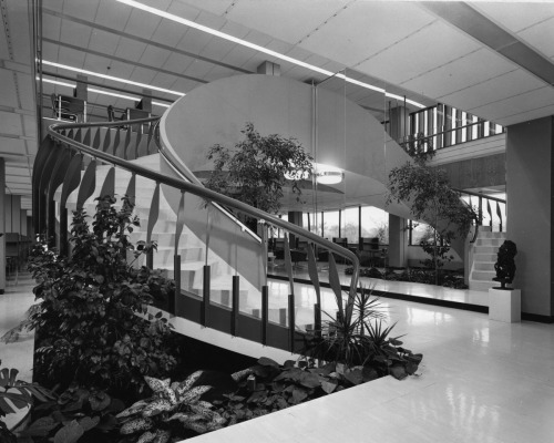 Long Island Modernism 1957-67 Adelphi University | 1 South Avenue, Garden City, NY 11530Photo: Georg