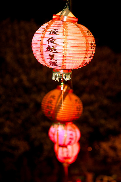 dreams-of-japan:   DSC07144 by 藍牙王子 on Flickr.  