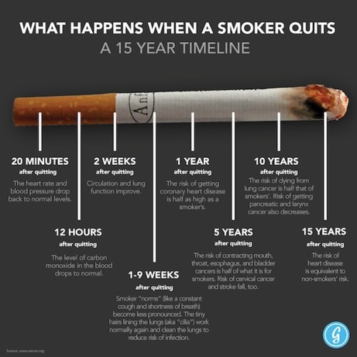 currentsinbiology:allheartcare-deactivated2016010:What happens when a smoker quitsGreat reasons to q