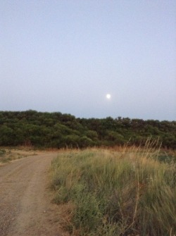 girlglimmer:strawberry moon 2016 over fuentes