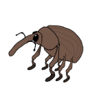 mal-is-existing - Weevil Time