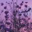 serendipity--purple-blog