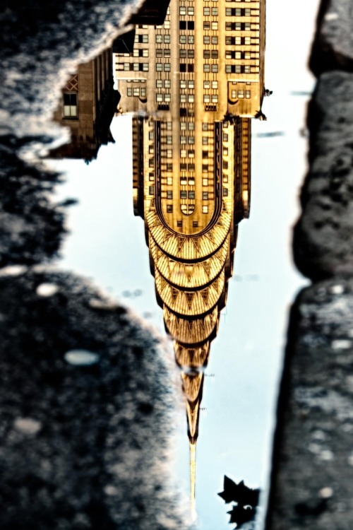 visualechoess:Chrysler Building Reflection  - (via) | ᶹᶥᶳᶸᵃᶩᶳ