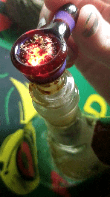 drugssexandhairlesscats:Monday morning milk with a bowl of Platinum Girl Scout Cookie and melted thc