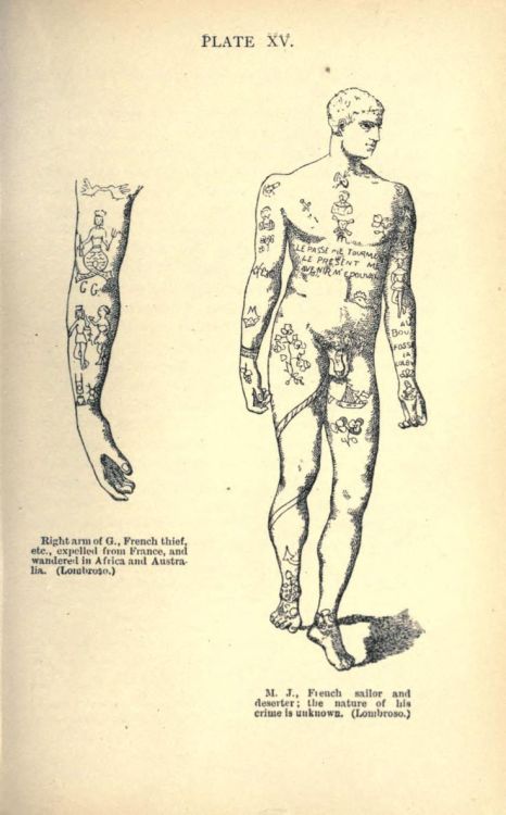 nemfrog:Plate XV. Tattoos of a French sailor and deserter (lower figure). The Criminal. 1901. need m