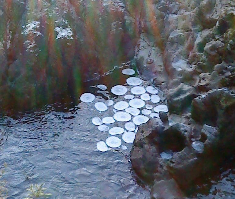 bluandorange:  scientistmary:  An ice circle (also called ice disc or ice pan) occurs
