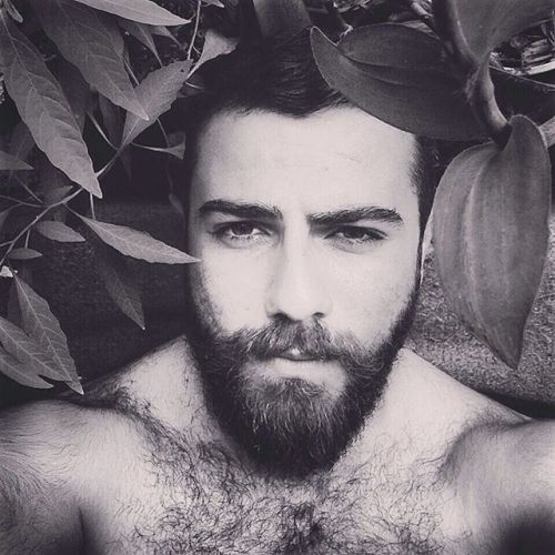 Beardburnme